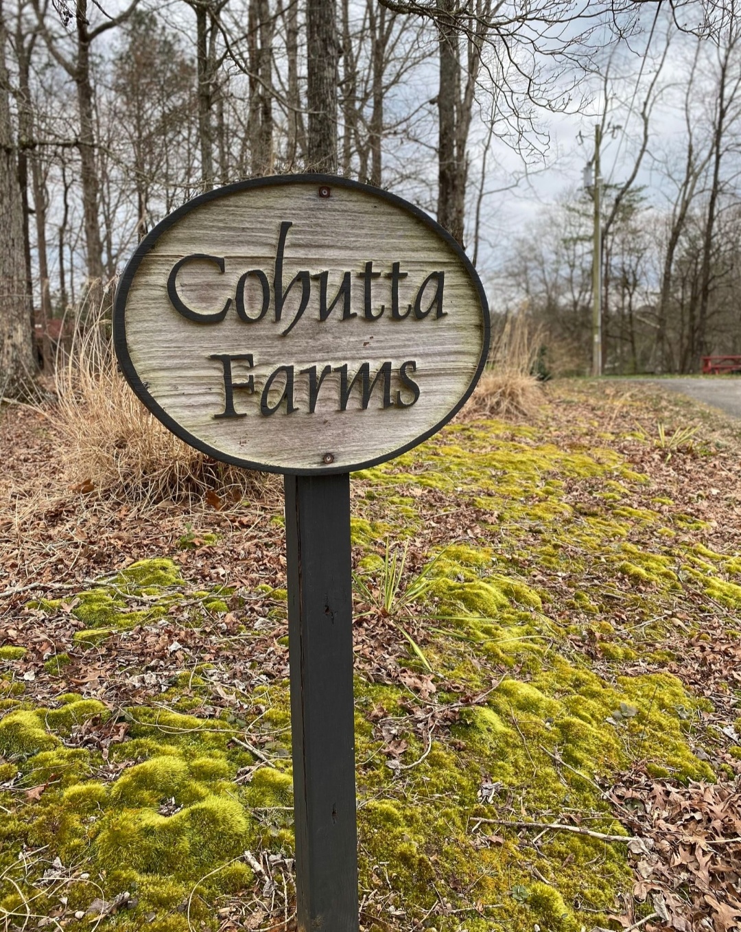 Cohutta Farms sign